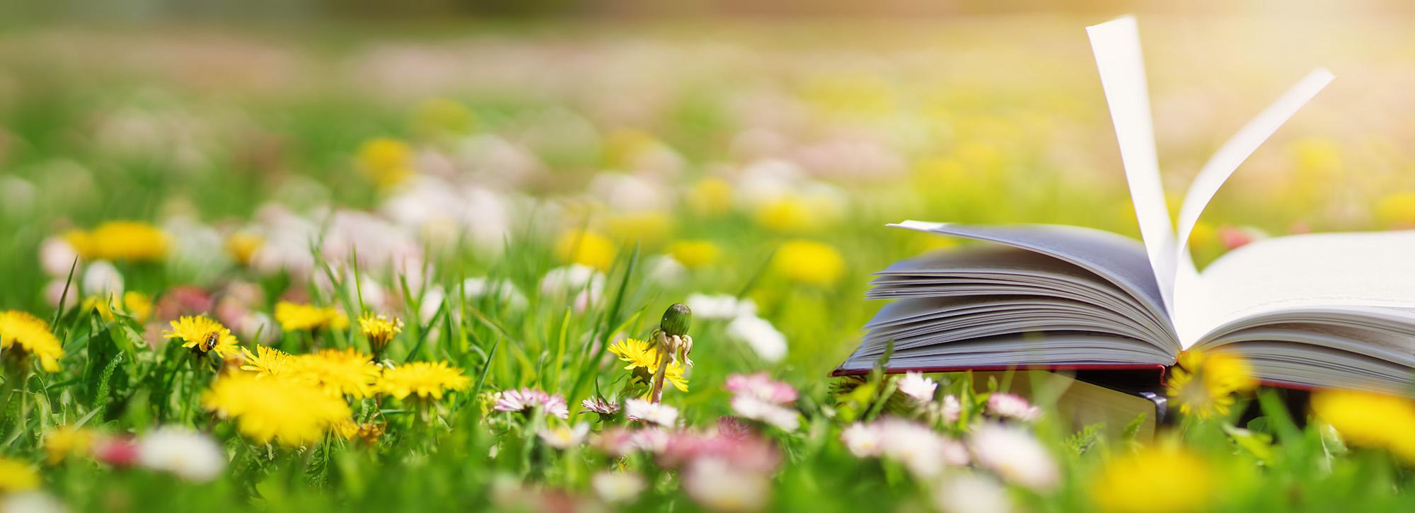 Book on grass with white and pink flowers